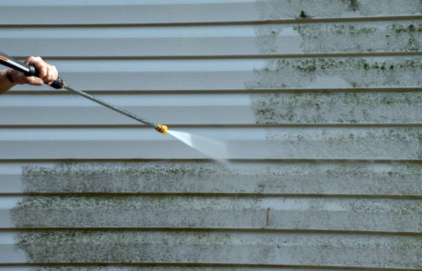 Mold Removal and Inspection in Atkins, AR