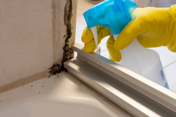 Best Emergency Mold Removal  in Atkins, AR