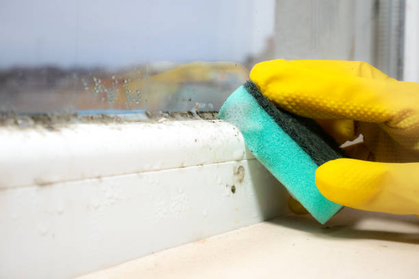 Best Residential Mold Removal  in Atkins, AR