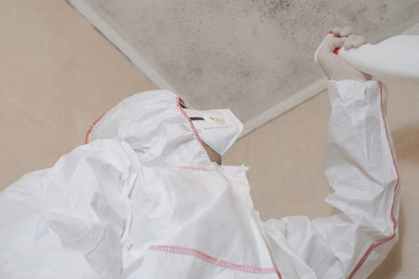 Best Mold Testing  in Atkins, AR