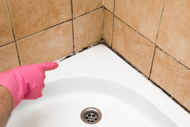Best Local Mold Removal Service  in Atkins, AR